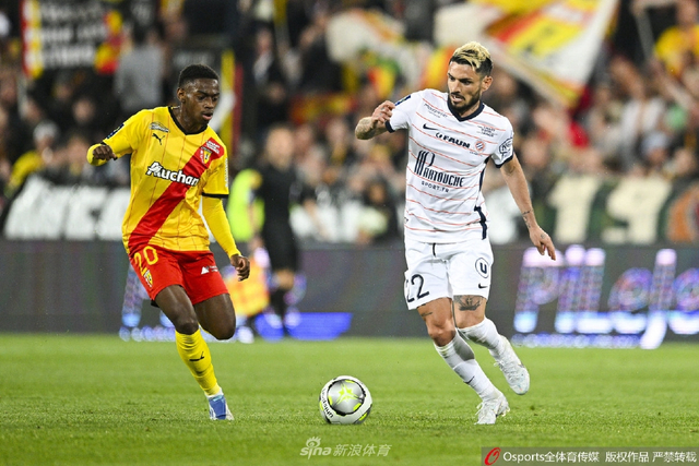 中的成功脚 中的成功脚