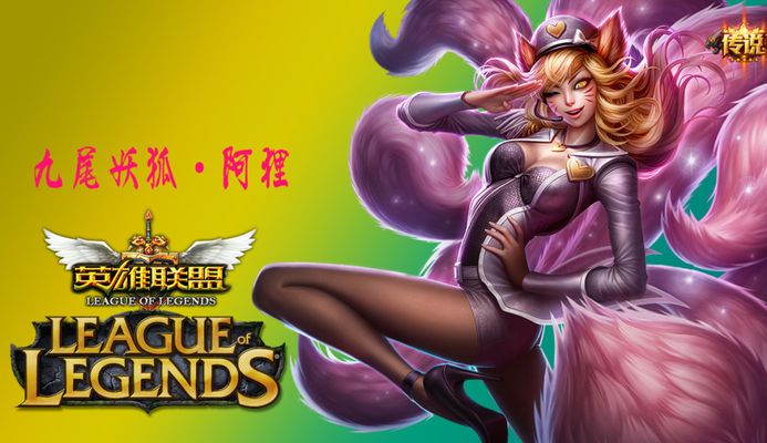 透明化債務 透明化債務